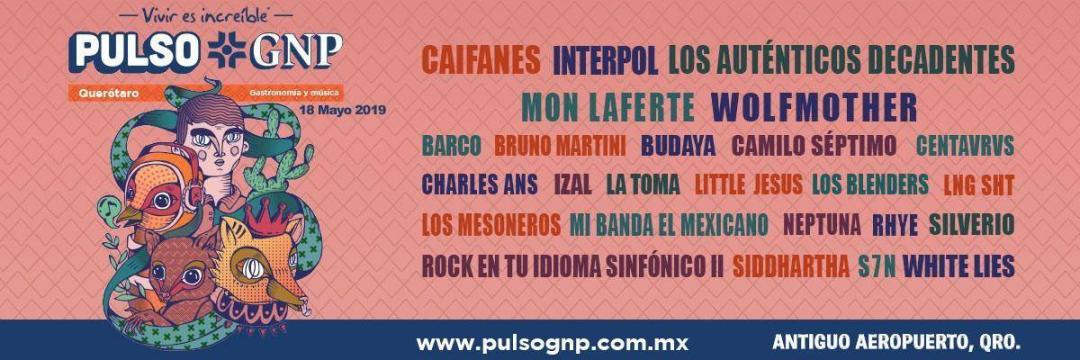 Interpol, Caifanes y más en el Festival Pulso GNP ?? 5
