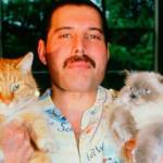 Freddie Mercury: 73 Años de Una Leyenda, Fotos y Videos Inéditos. 5