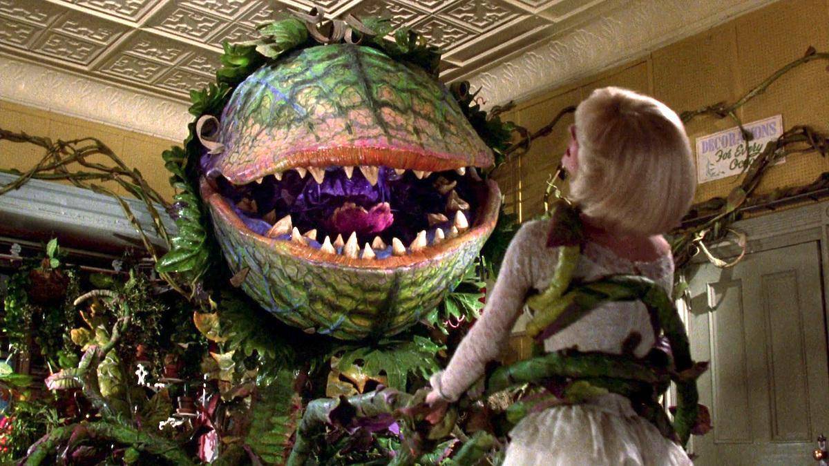 Rumor: Lady Gaga en el remake de Little Shop of Horrors