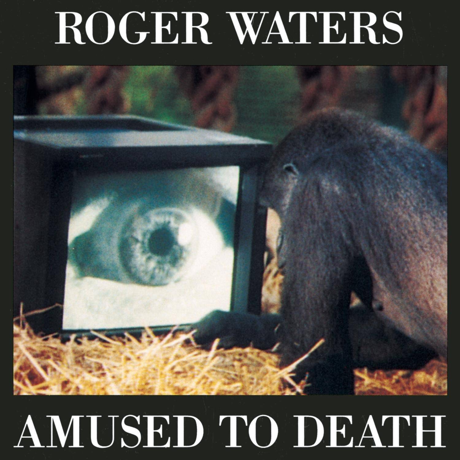 perfect sense roger waters amused to death