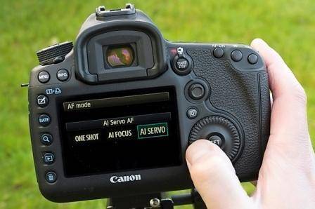 Canon te cuenta 5 tips para fotos en casa