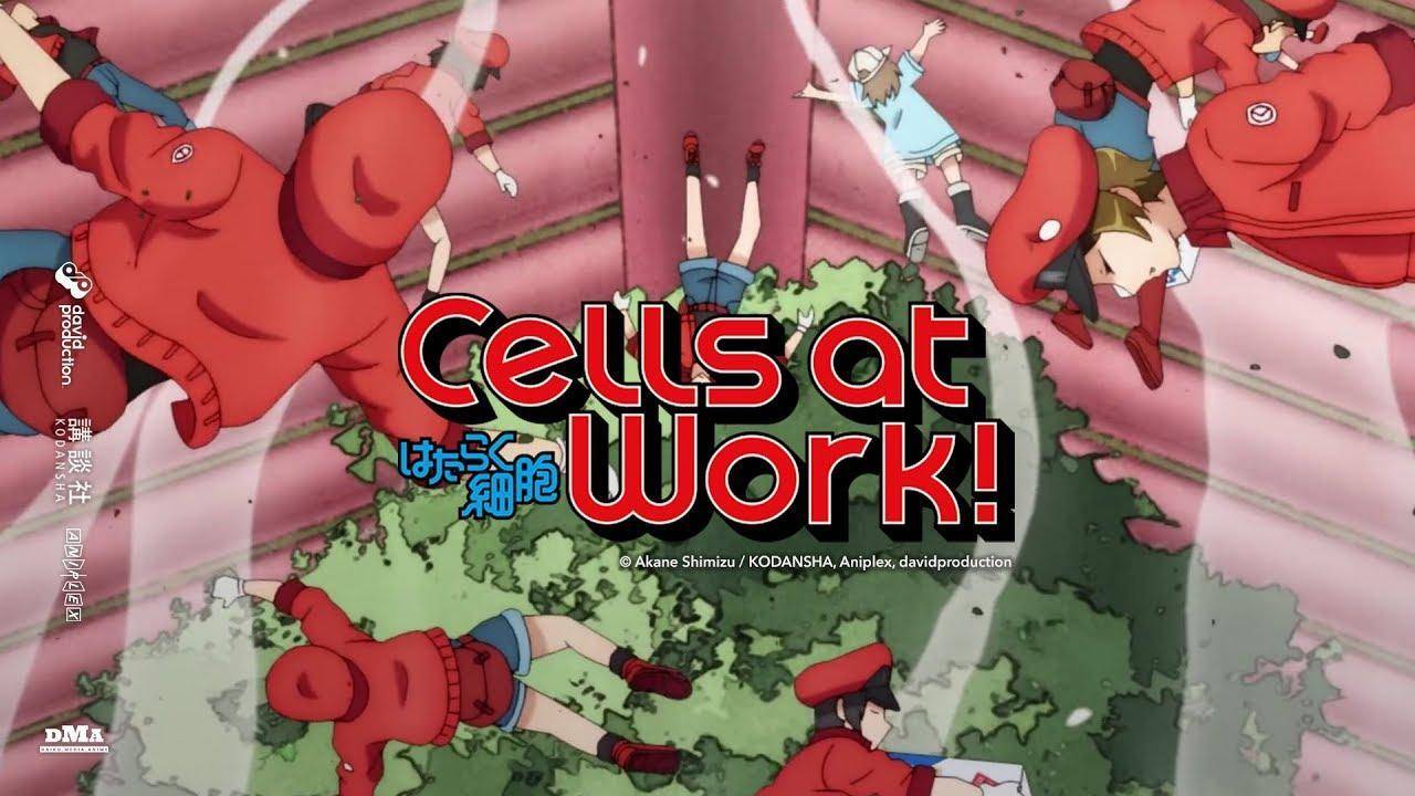 Cells at Work! second season