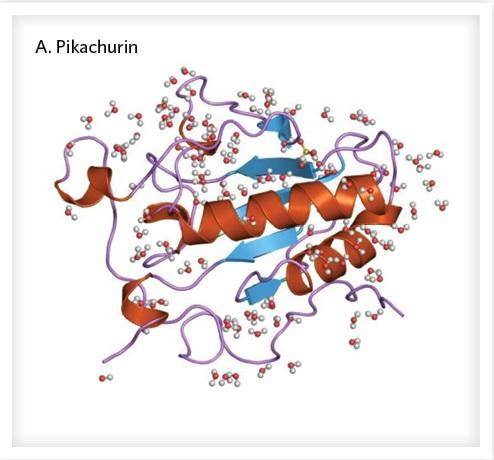Proteína Pikachurina