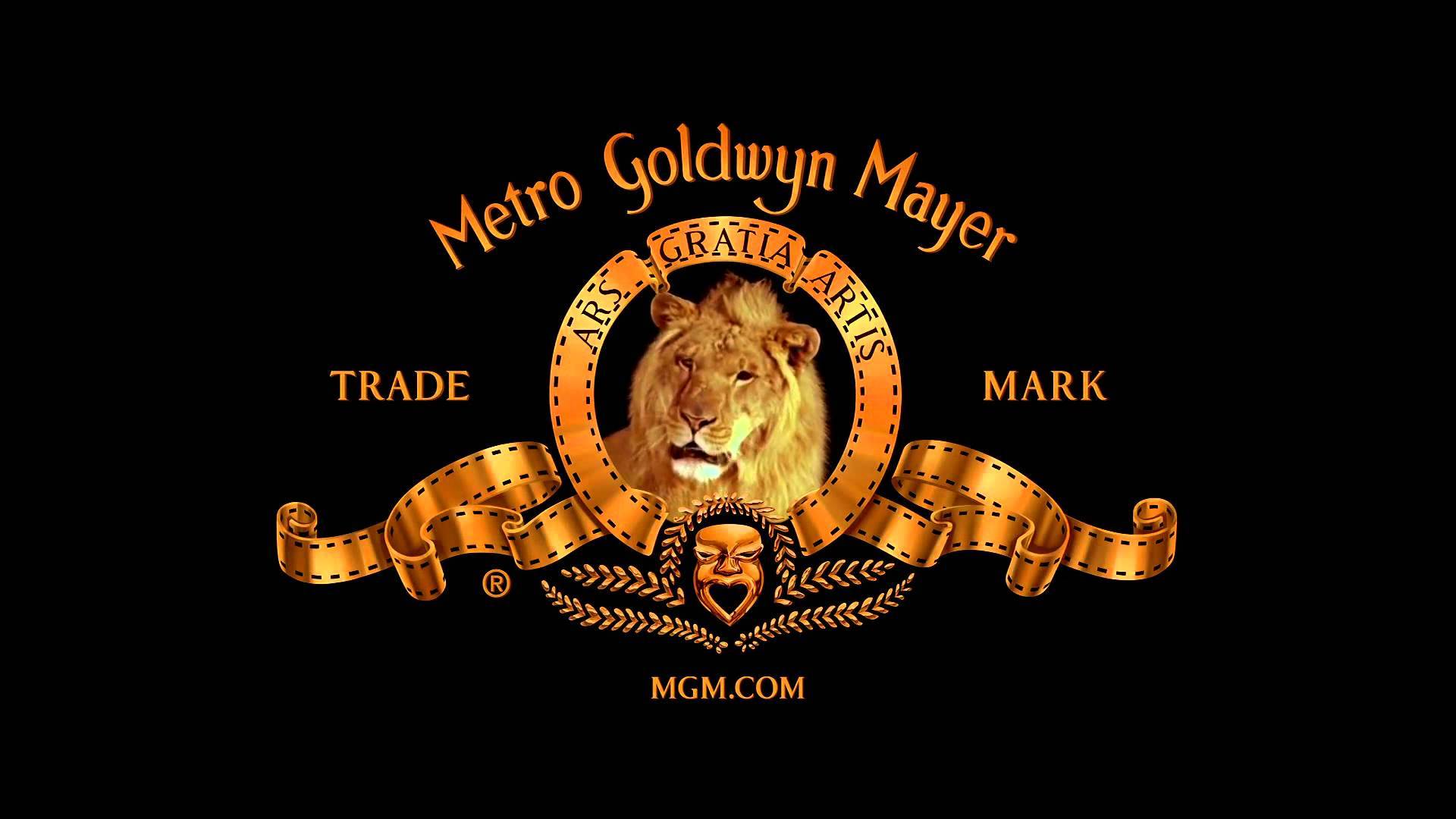 MGM Metro Goldwyn Mayer