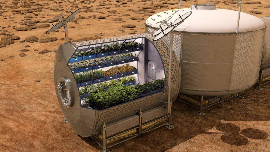 Life on Mars? La NASA planea llevar la agricultura a Marte