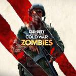 Call of Duty Black Ops Cold War Zombies