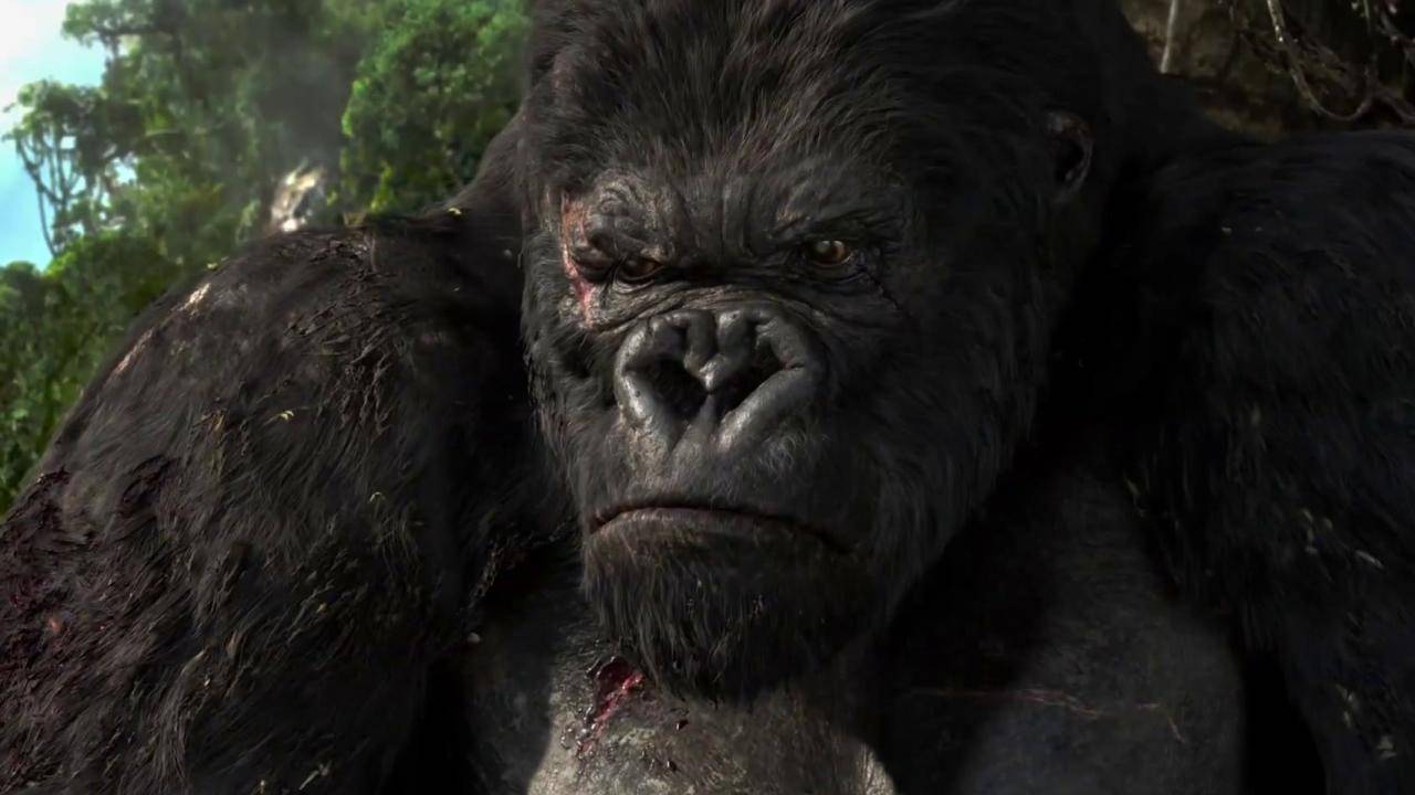 kong