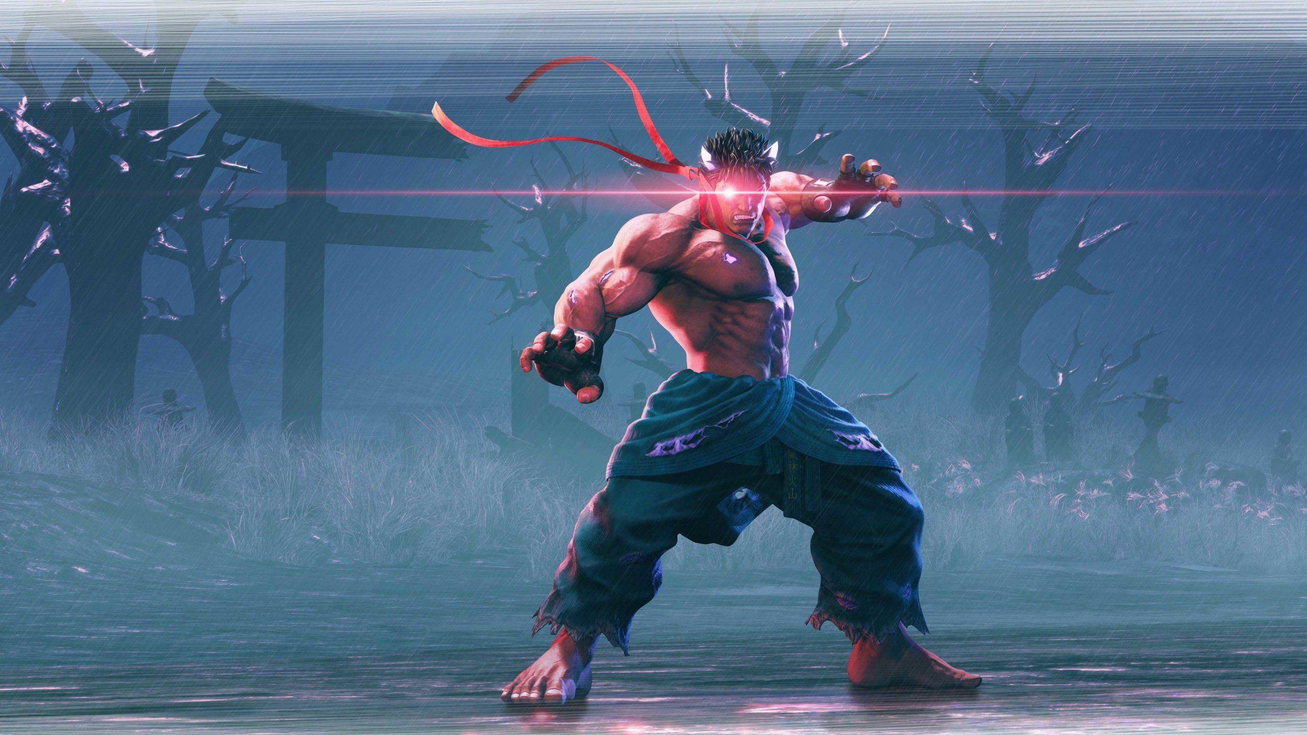 street fighter v