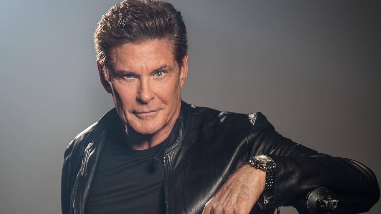 David Hasselhoff dará vida a David Hasselhoff en ‘Ze Network’