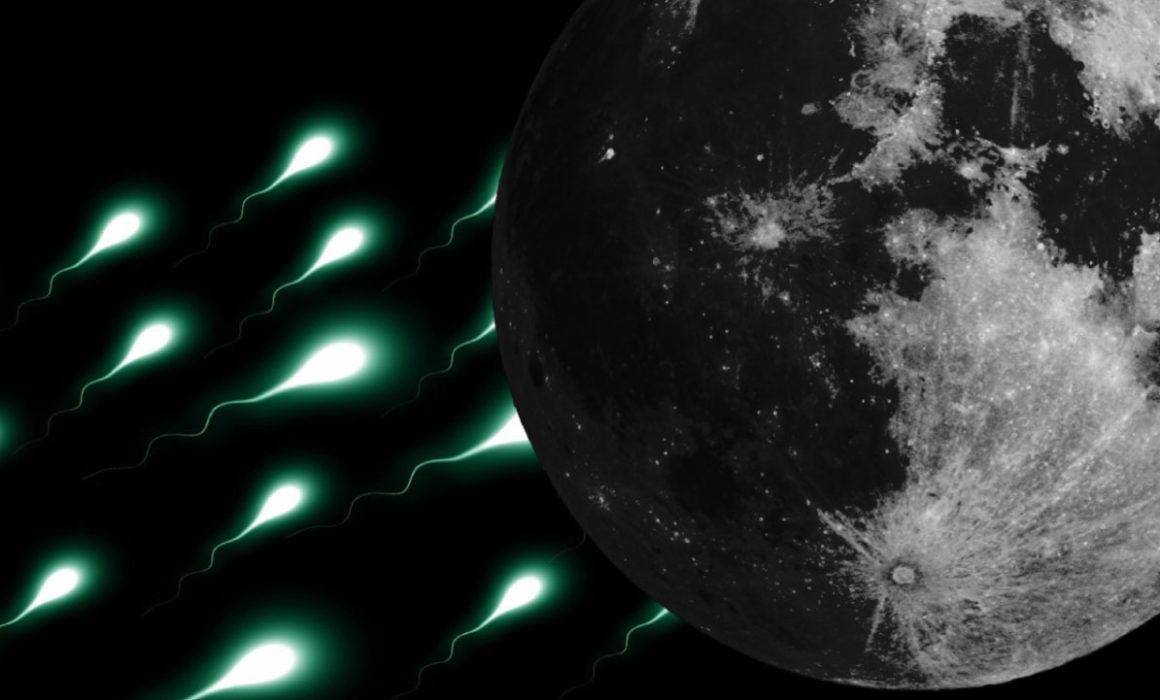 Científicos proponen enviar 6.7 millones de esperma a la luna para proteger a la humanidad