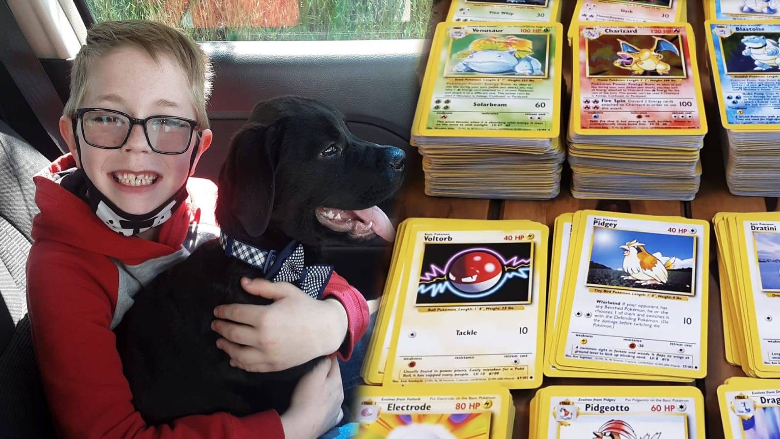 Pokémon envía regalo a niño que vendió sus tarjetas para salvar a su perro