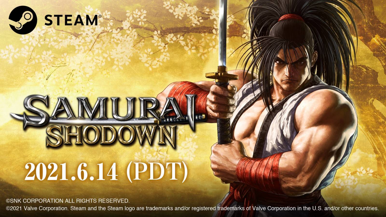 Samurai Shodown, Steam