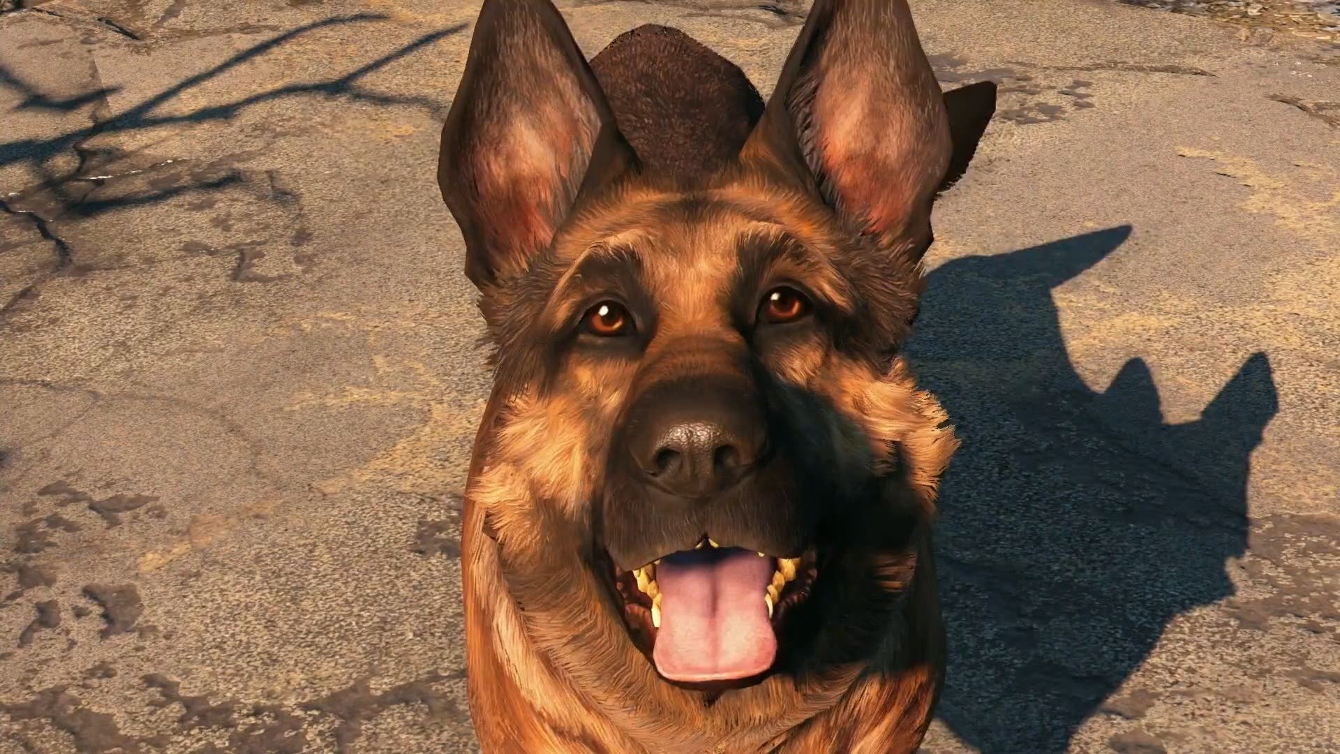 Ha fallecido River, la perrita que le dio vida a Albóndiga en Fallout 4