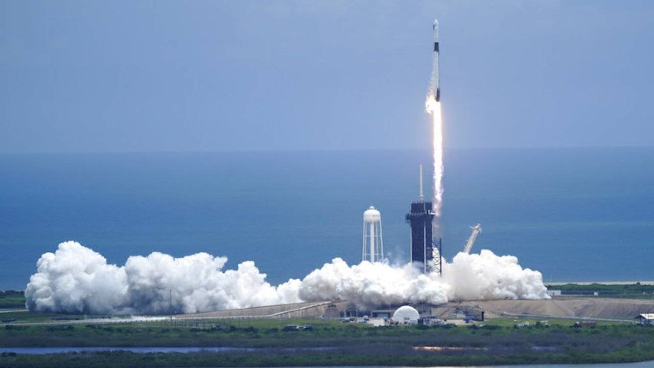 La NASA quiere enviar 100 bebés calamares a la Estación Espacial Internacional