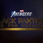 Black Panther Battle for Wakanda, Marvel's Avengers