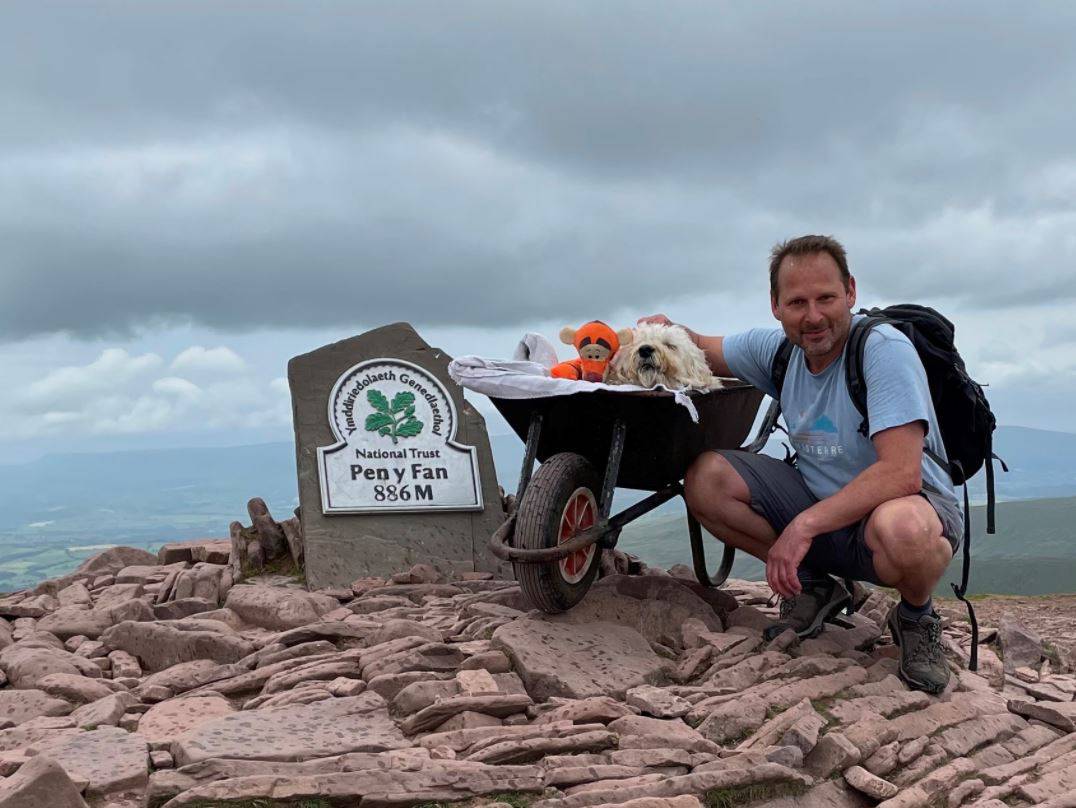 Perrito con leucemia da su último y emotivo paseo en su montaña favorita