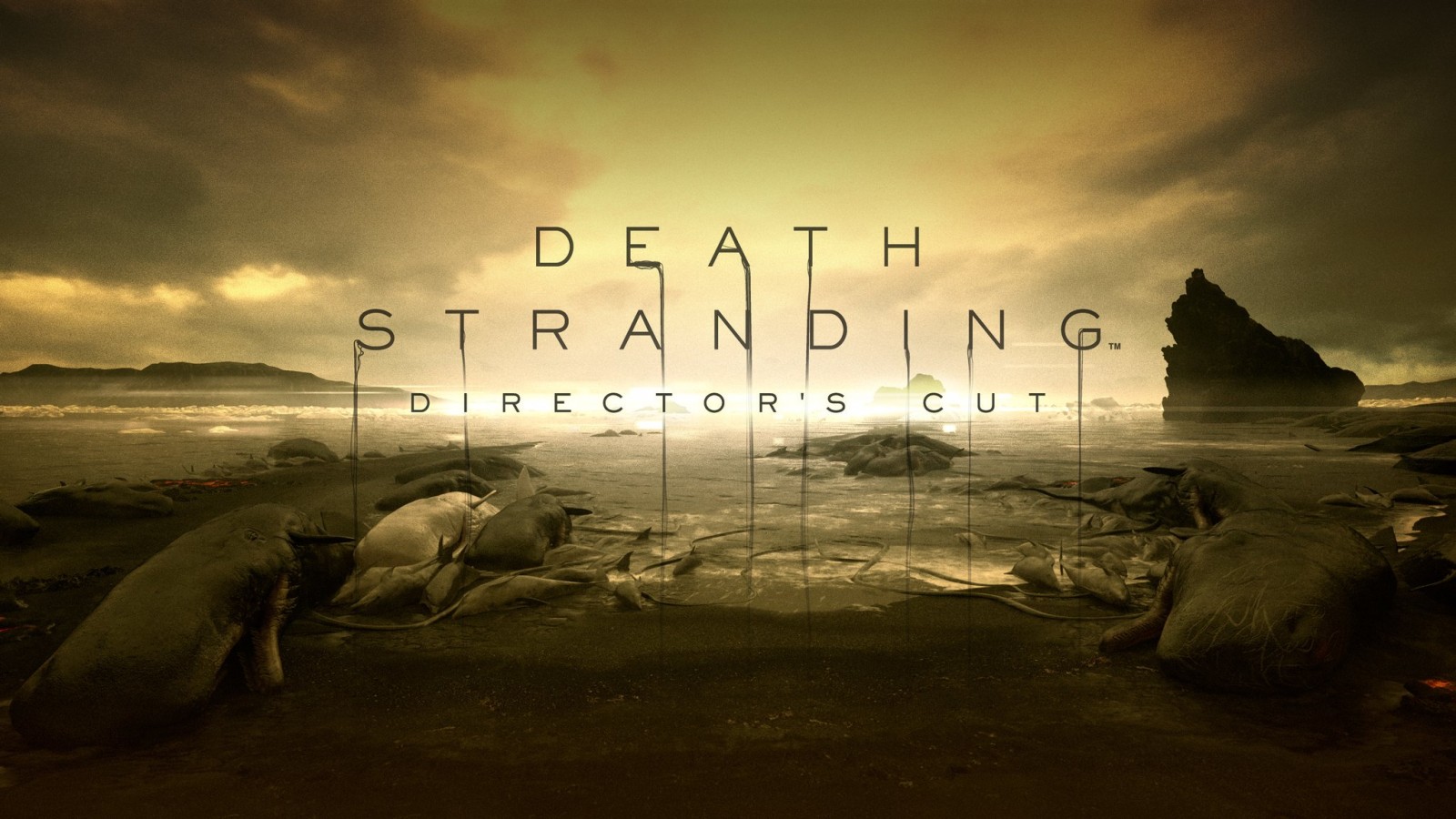 Death Stranding Director’s Cut ya tiene fecha y detalles para su versión de PC