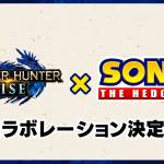 Monster Hunter Rise X Sonic