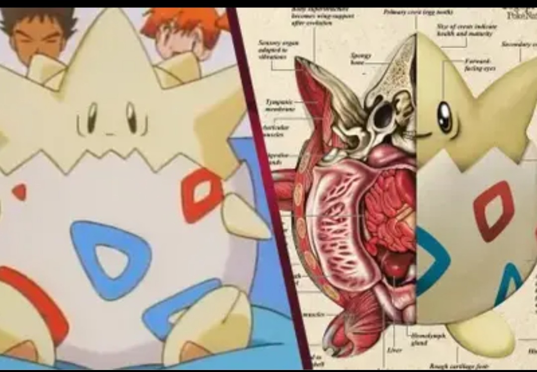 Togepi es uno de los Pokémon más queridos de la vieja escuela y un fan-art nos muestra como luce su interior.