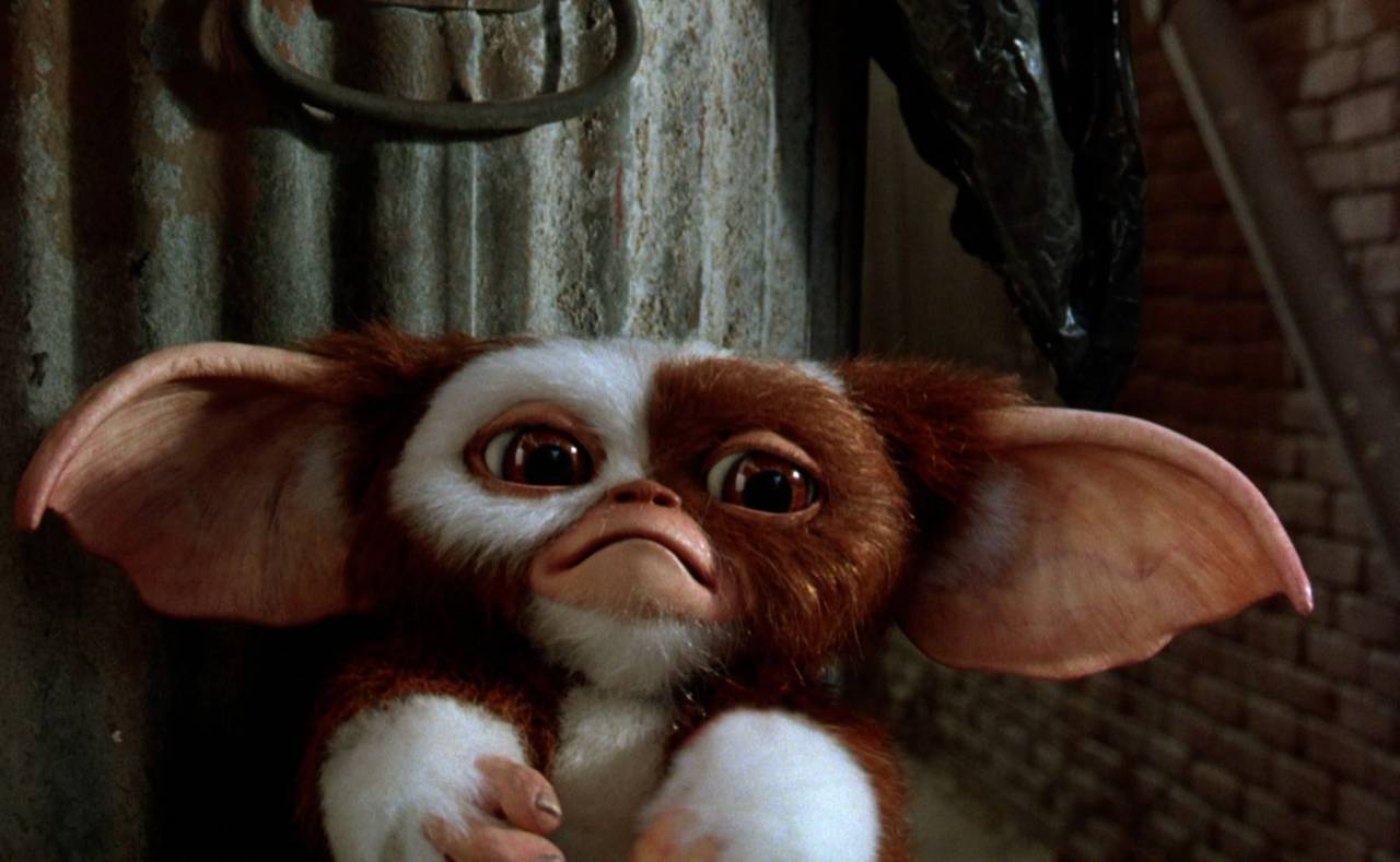 gizmo