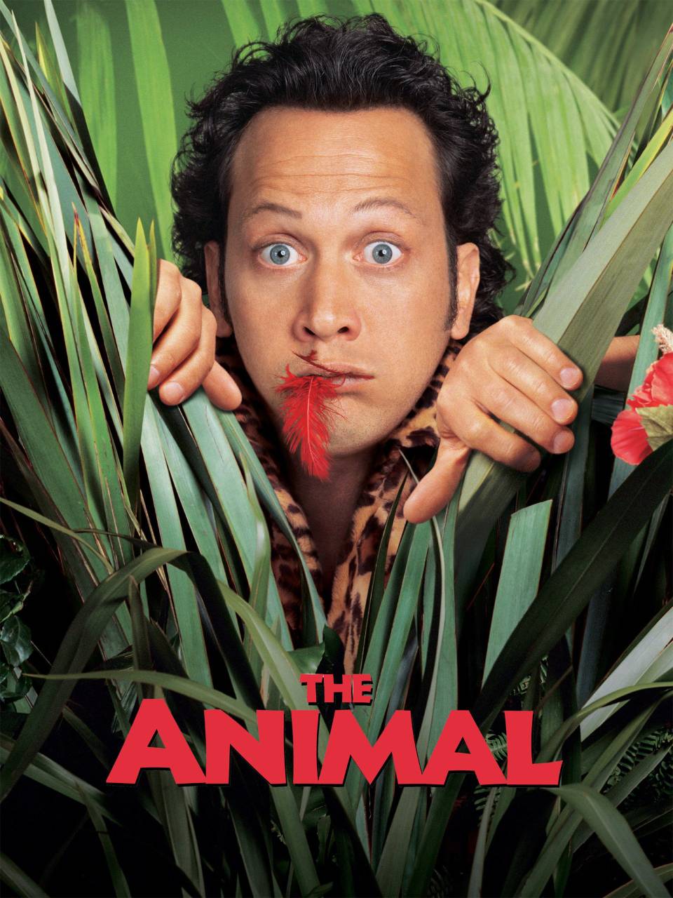Rob Schneider, The Animal,