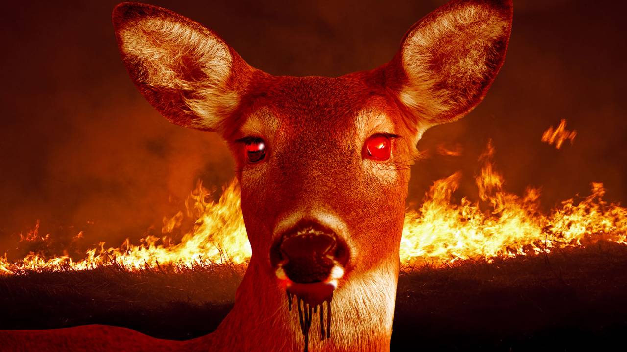 ‘Bambi’ tendrá un remake sangriento y perturbador