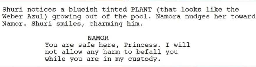 Namor y Shuri iban a enamorarse en Black Panther 2 2