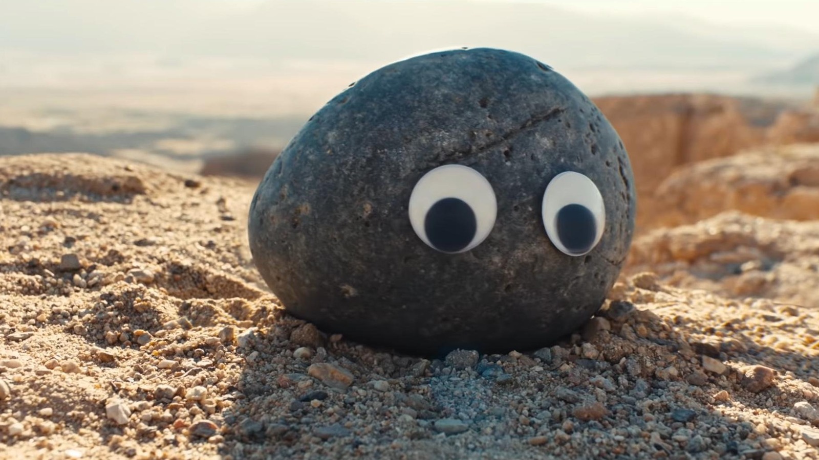 Pet Rock, Everything Everywhere All at Once