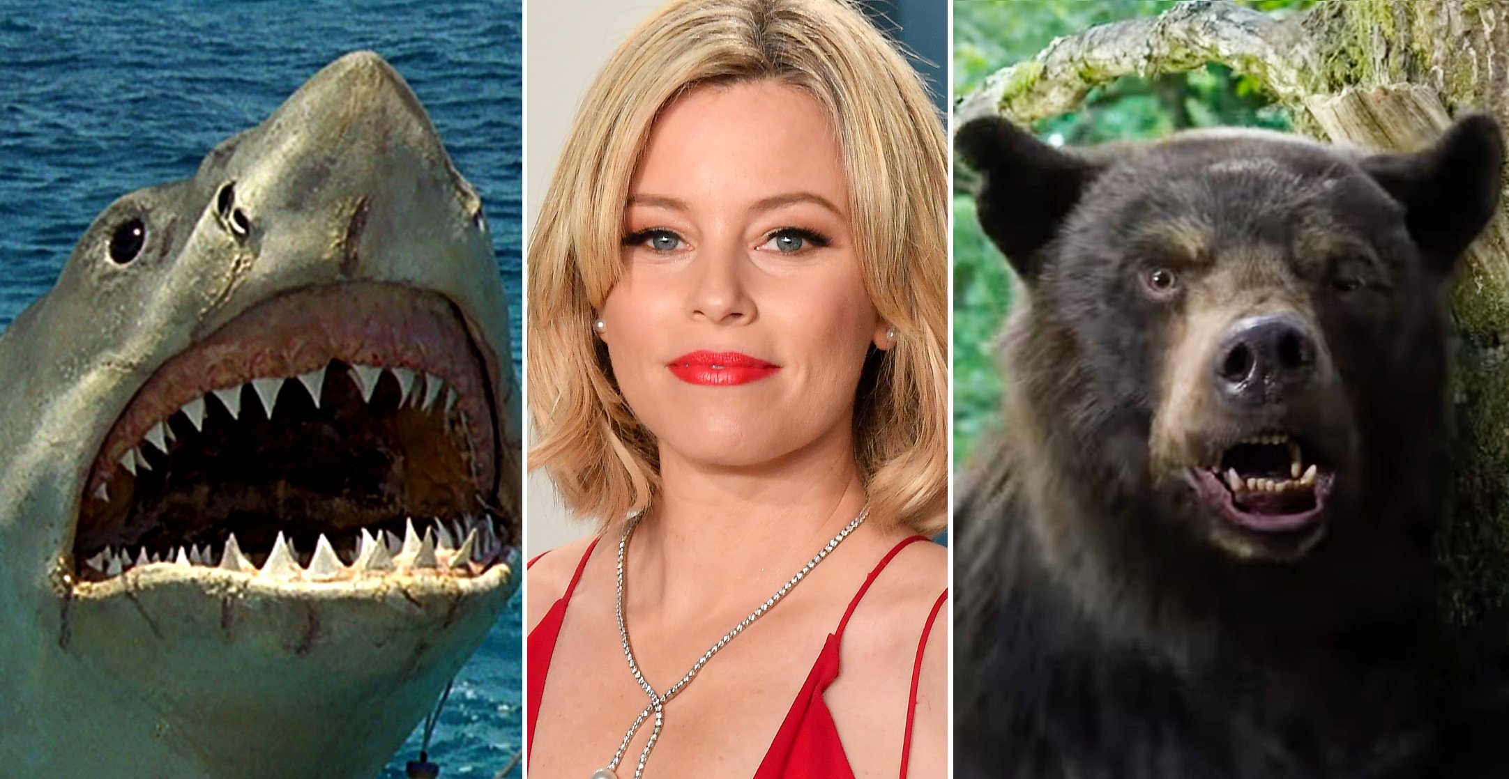 ¿Elizabeth Banks ya planea Cocaine Bear 2? ¡Conoce Cocaine Shark!