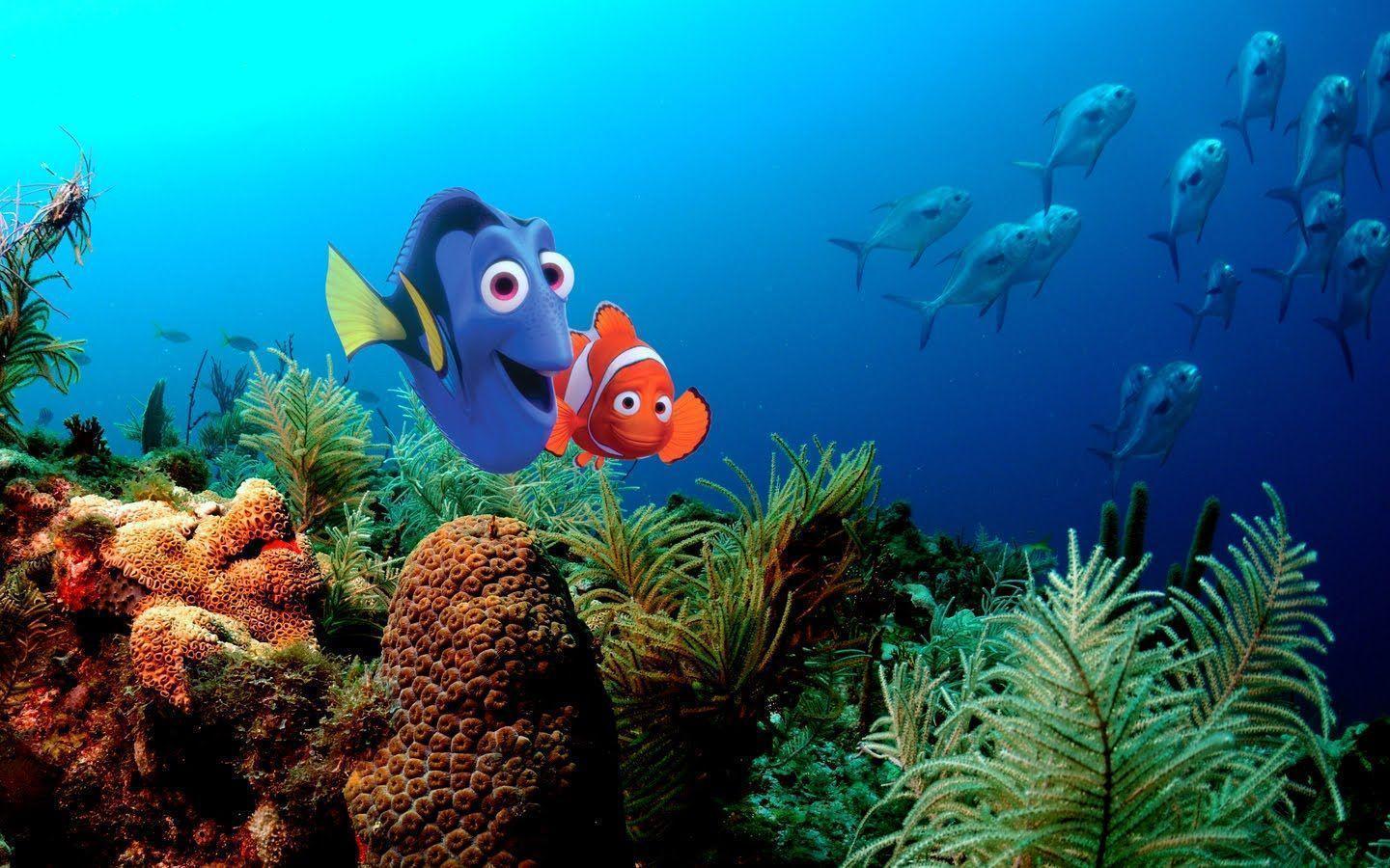Buscando a Nemo, Finding Nemo