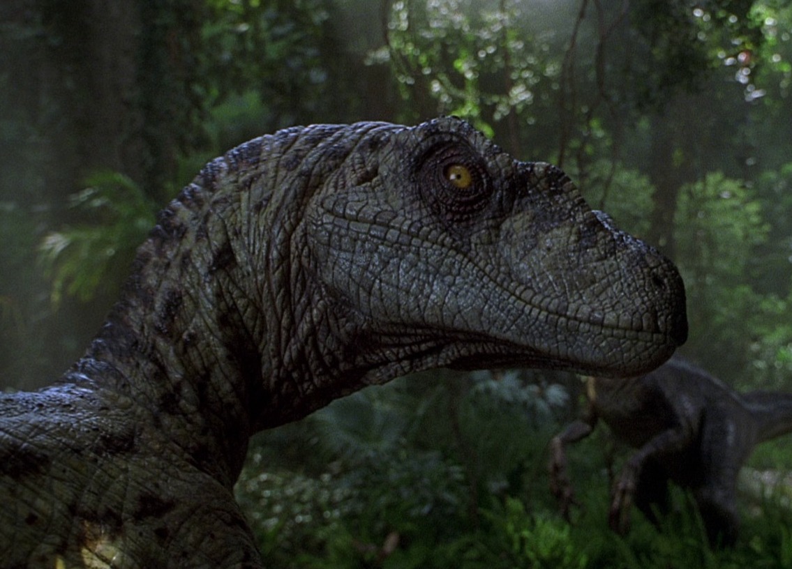 Una Nueva Cinta De ‘Jurassic World’ Ya Está En Desarrollo No Somos Ñoños