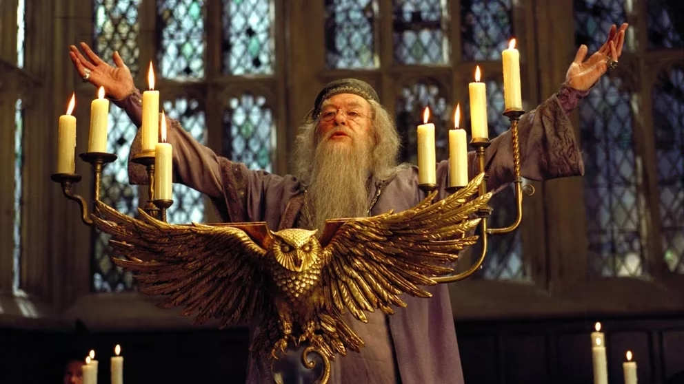 Michael Gambon Albus Dumbledore