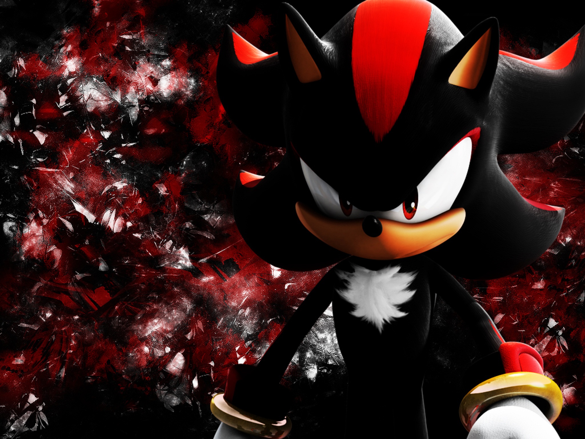 Sonic the Hedgehog, Shadow the Hedgehog