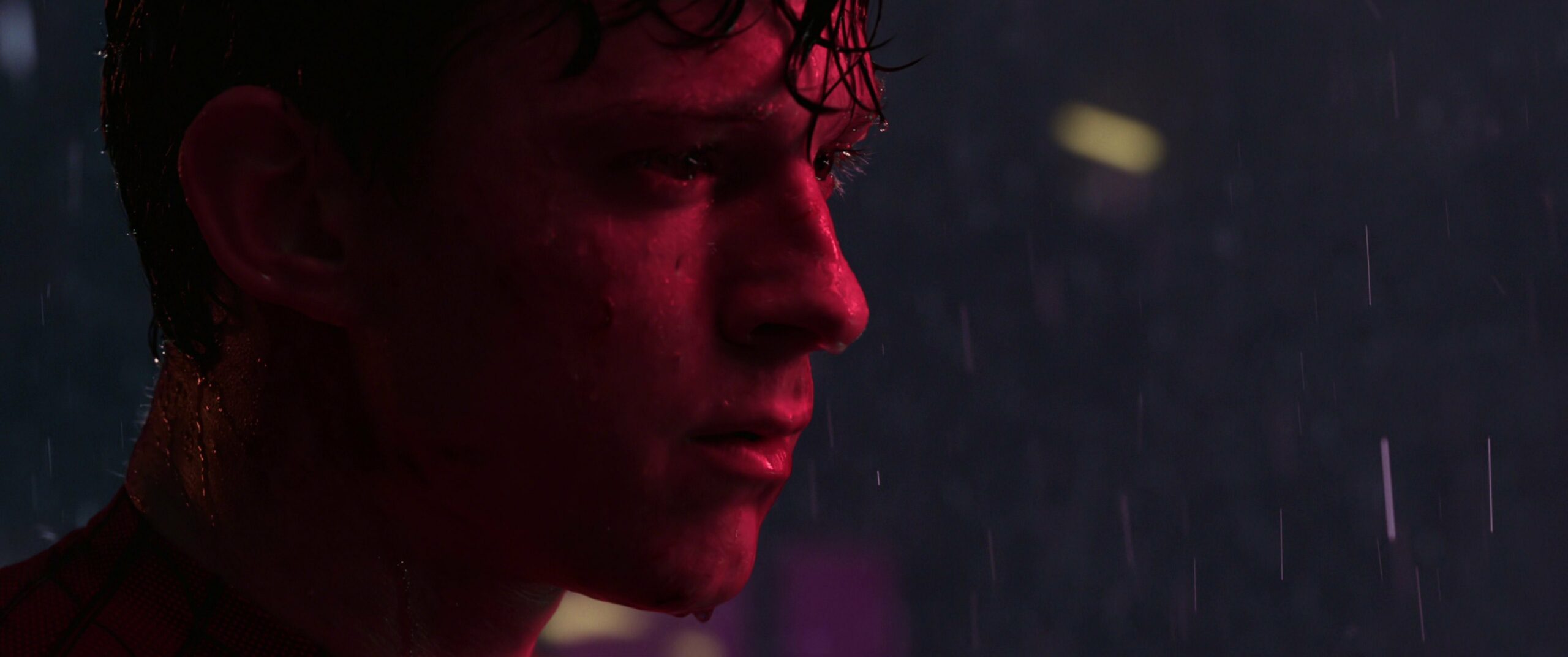 Spider-Man: No Way Home, Tom Holland
