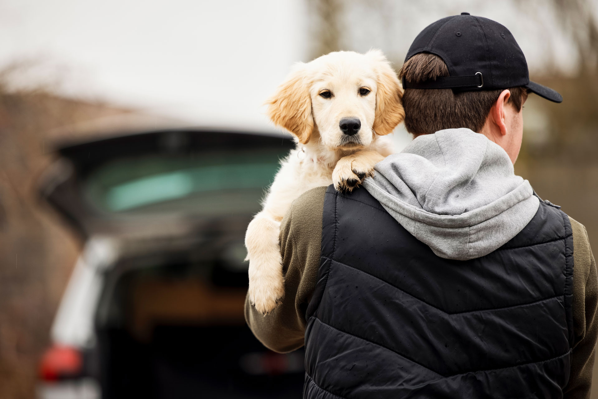 ¡Repartidor de Amazon es despedido tras robarse el perro de un cliente!