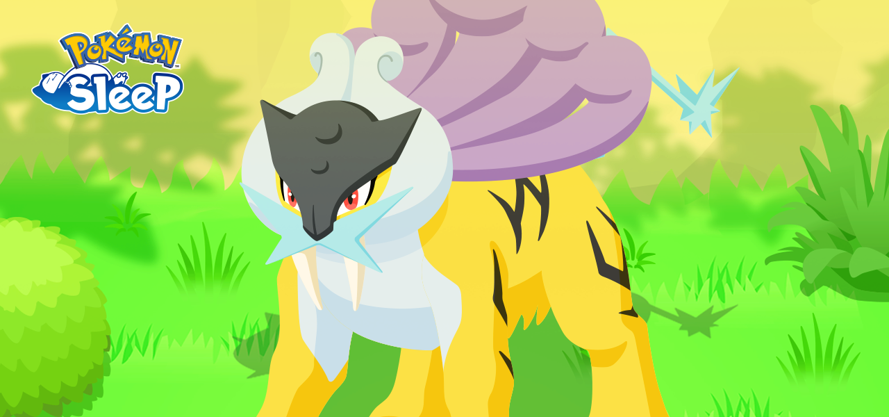 Pokémon Sleep: Conoce los detalles del evento de investigación de Raikou, comienza el 25 de marzo 7