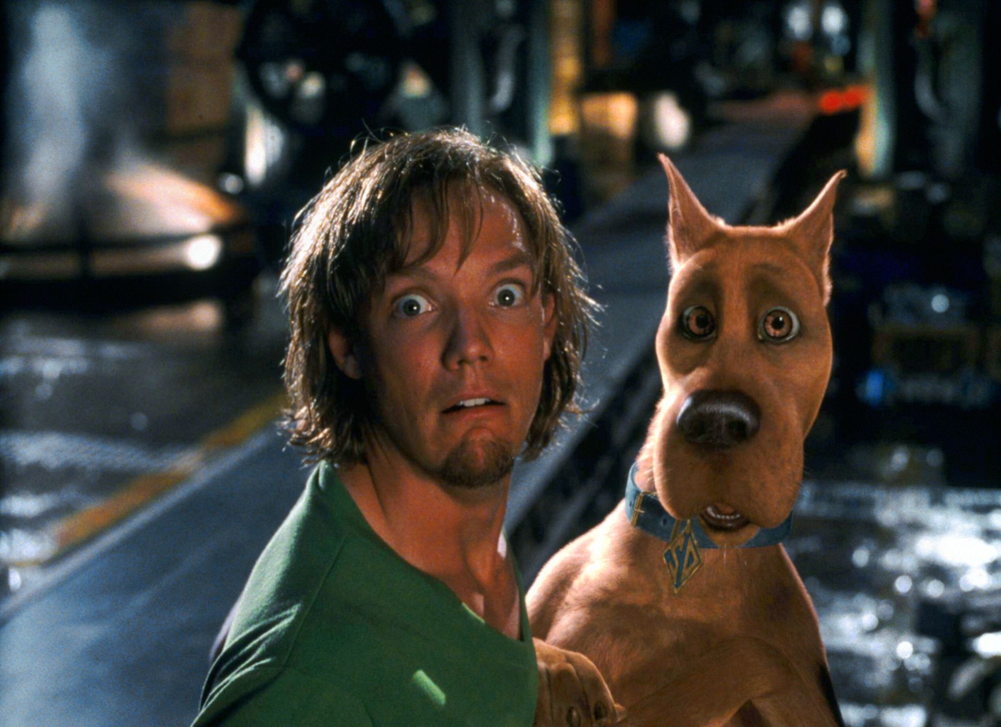 Scooby-Doo: Matthew Lillard regresa como Shaggy 1