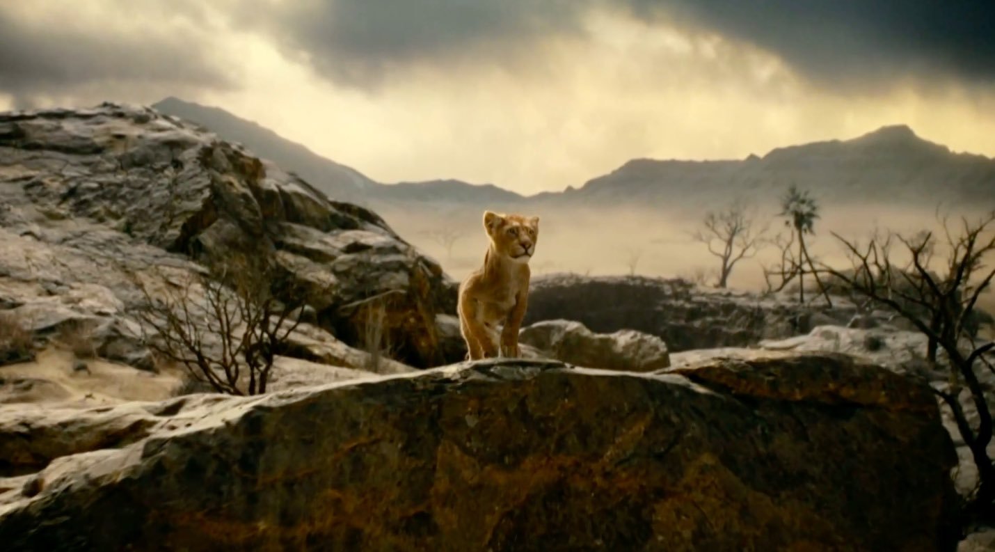 Mufasa: El Rey León presenta su primera imagen, llegará a cines en diciembre 2024 11