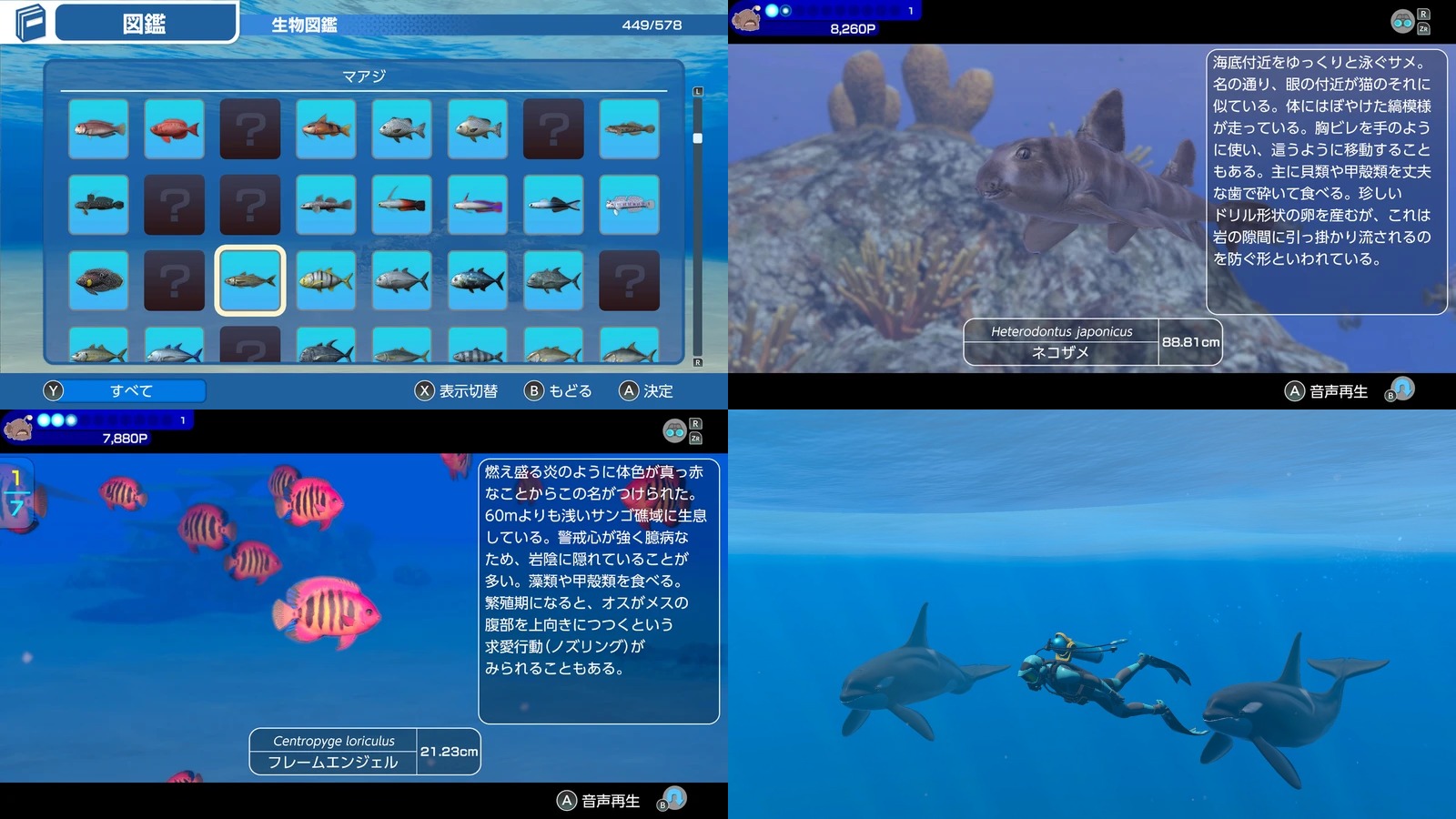 Endless Ocean Luminous presenta nuevo avance, llegará el 2 de mayo a Nintendo Switch 14