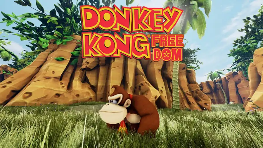 Donkey Kong Freedom