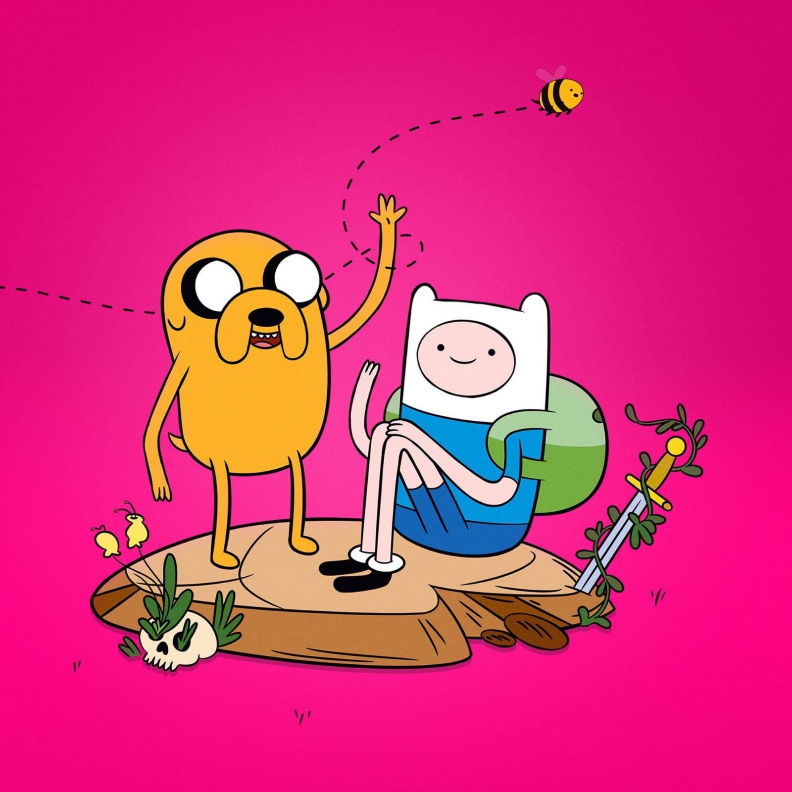 Adventure Time, Hora de Aventura