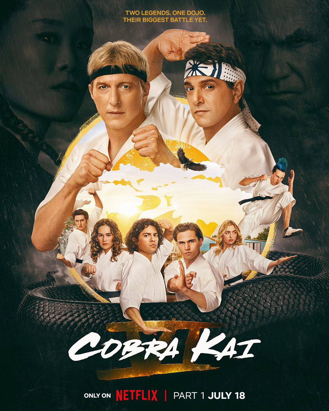 Cobra Kai, Karate Kid