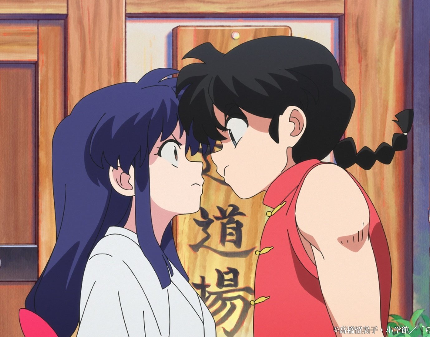 Ranma 1/2