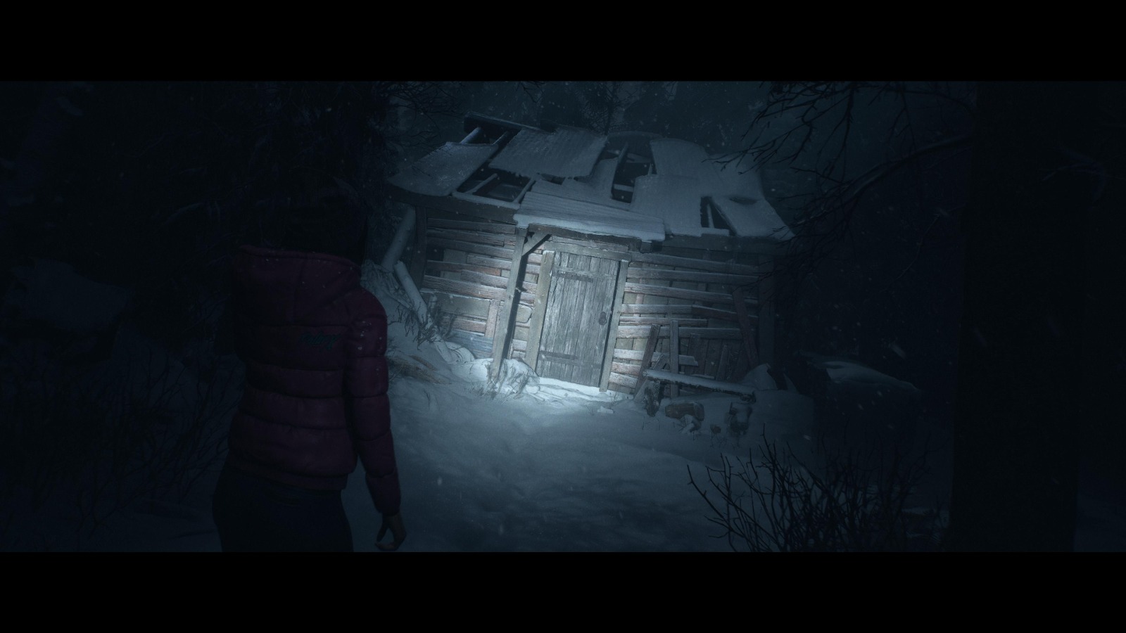 Until Dawn Remake