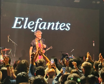 Elefantes