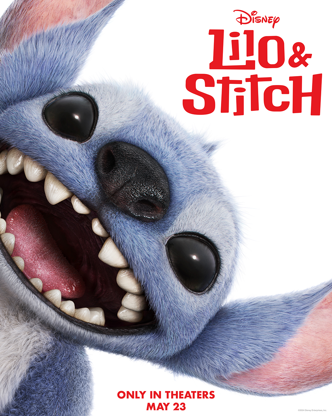 Lilo & Stitch, Lilo and Stitch, Lilo y Stitch