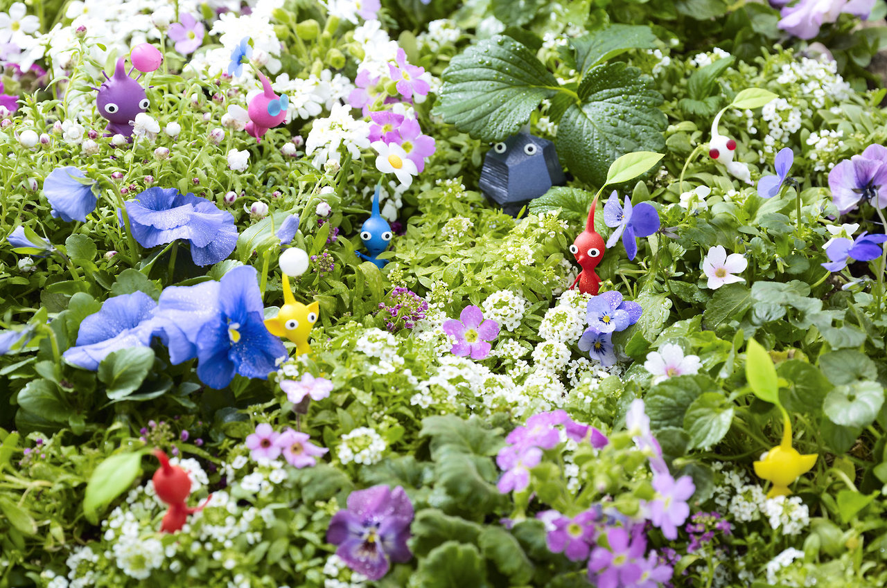 Pikmin 3 Deluxe lanza su update para Switch 2 2 Pikmin