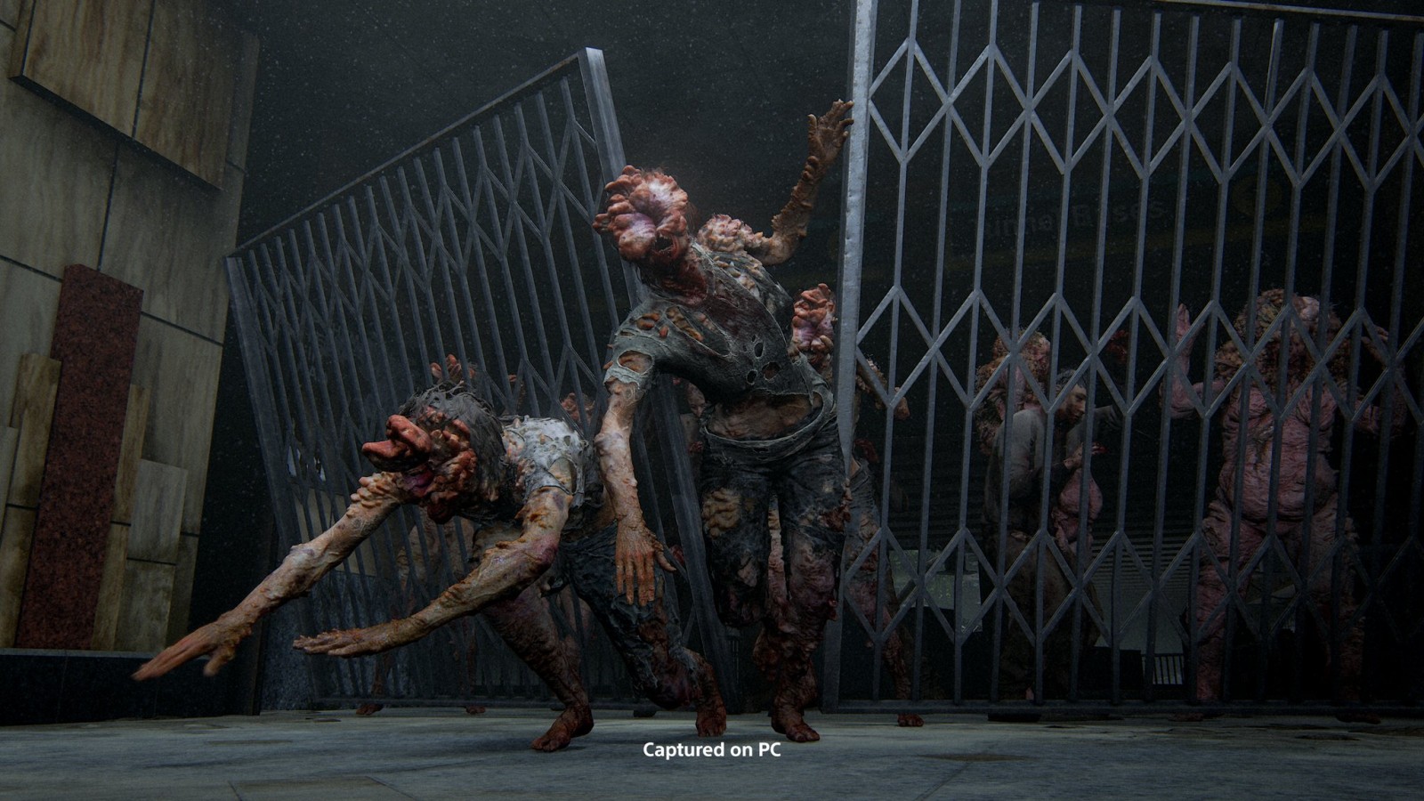 The Last Of Us