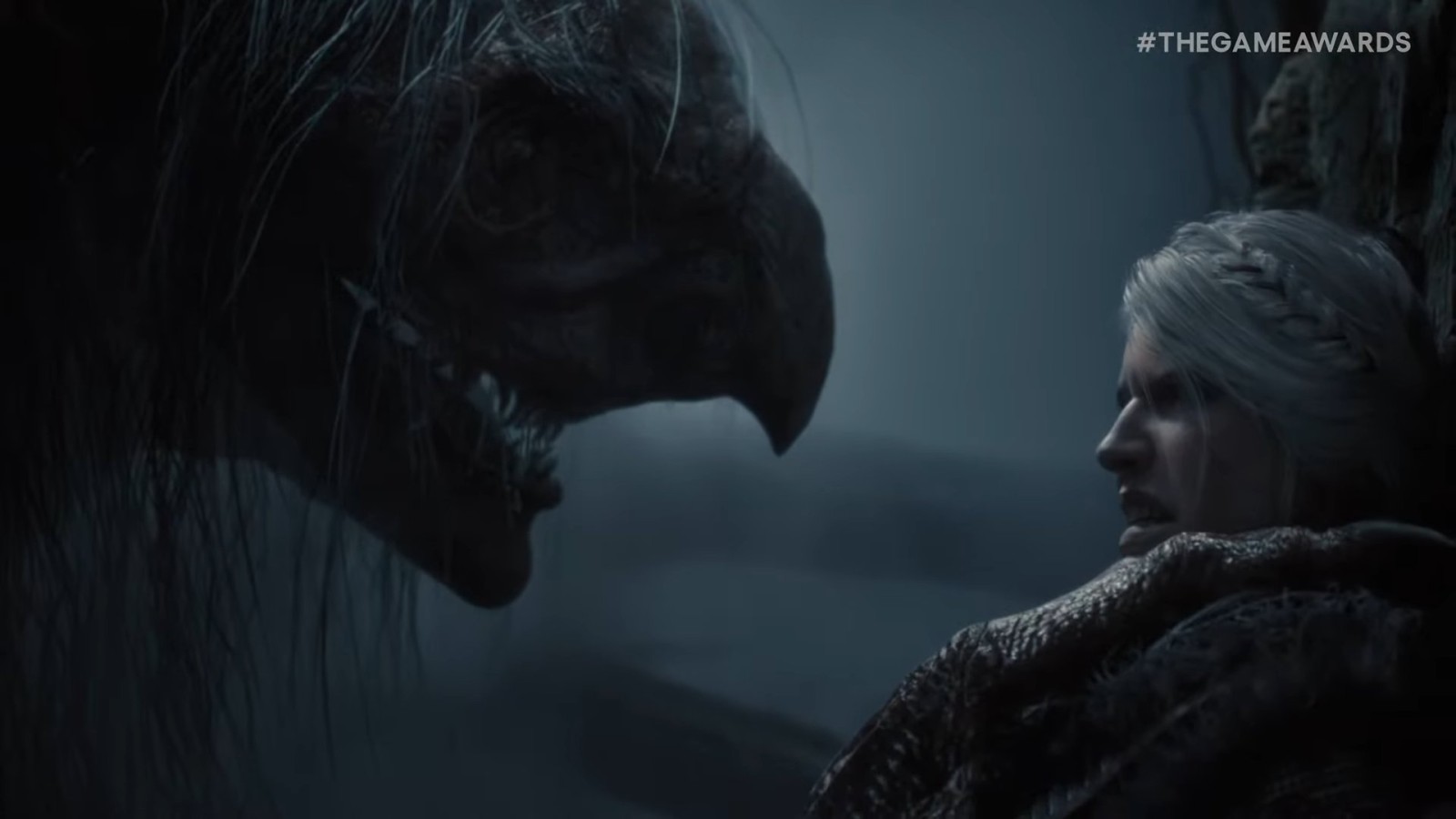 The Witcher IV