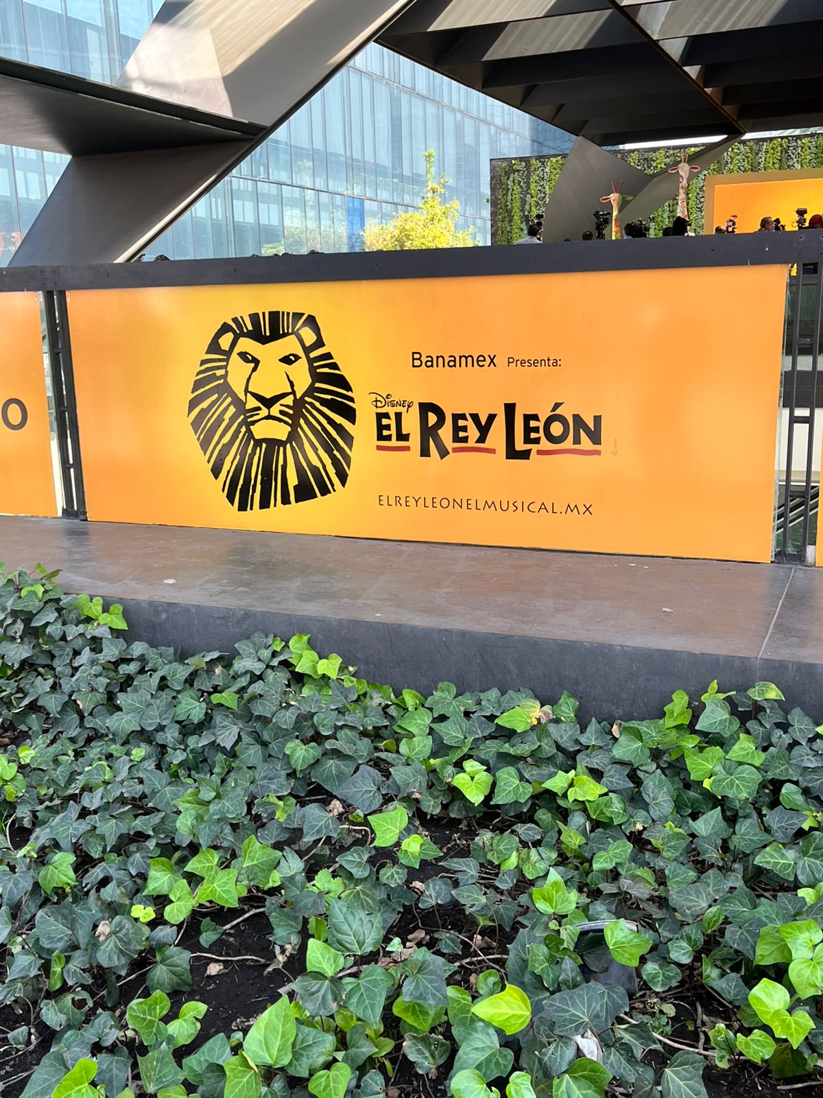 El Músical del Rey León regresa a México